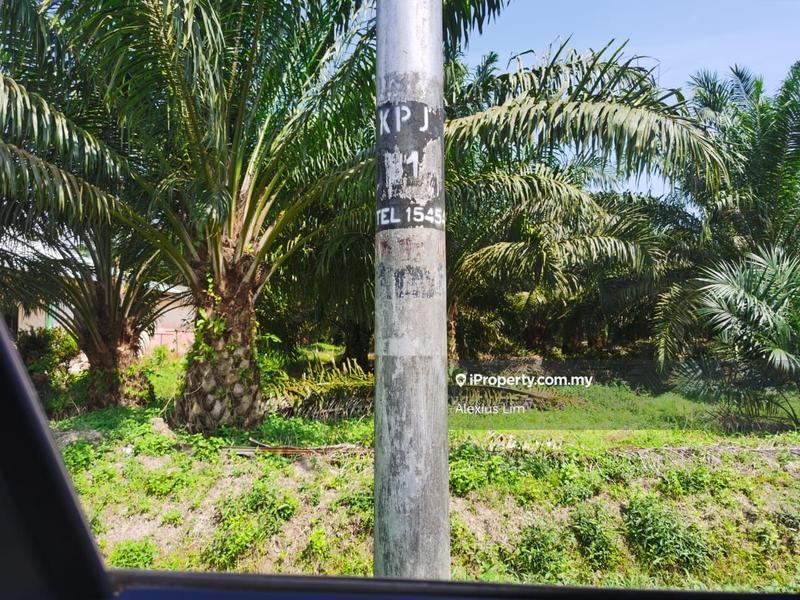 Tanah Pertanian untuk Dijual di Pontian Besar, Pontian oleh Alexius Lim - iProperty.com.my
