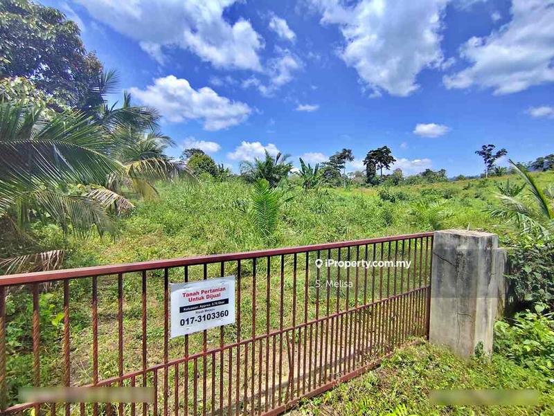 Agricultural Land for Sale in Bukit Damar, Lanchang, Temerloh by S. Melisa - iProperty.com.my