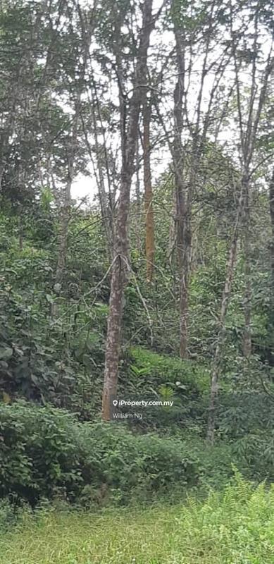 Tanah Pertanian untuk Dijual di Taman Jelebu, Kuala Klawang oleh William Ng - iProperty.com.my