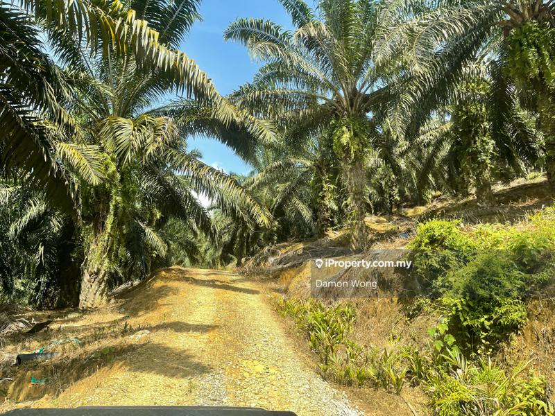 Agricultural Land for Sale in Manchis, Bentong by Damon Wong - iProperty.com.my