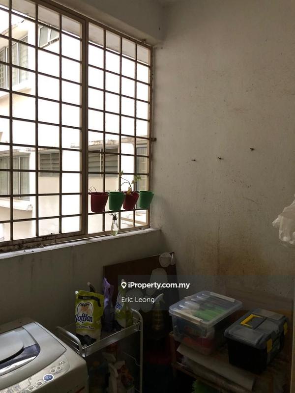 For Sale - Sri Cassia