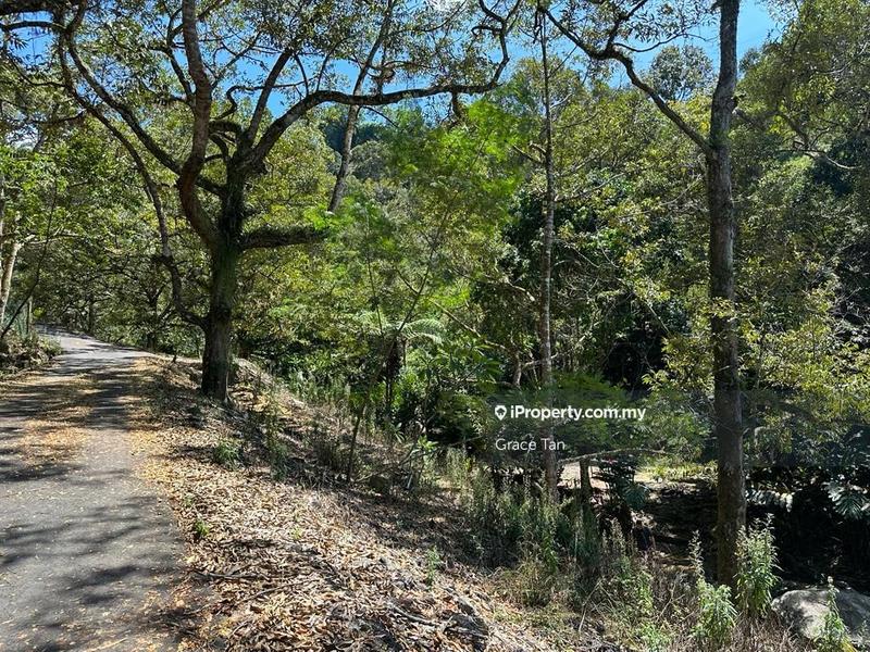 Tanah Pertanian untuk Dijual di Bentong Sang Lee ,Raub, Raub oleh Grace Tan - iProperty.com.my