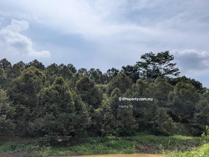 Agricultural Land for Sale in Bandar Baru Kuala Lipis, Kuala Lipis by Henry Ta - iProperty.com.my