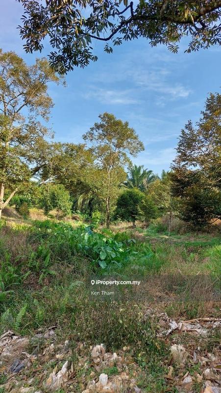 Agricultural Land for Sale in Taman Jelebu, Kuala Klawang by Ken Tham - iProperty.com.my