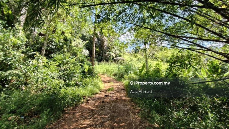 Agricultural Land for Sale in Kampung Sungai Lui, Hulu Langat by Aziz Ahmad - iProperty.com.my