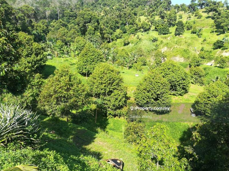 Tanah Pertanian untuk Dijual di Bandar Tras, Raub oleh Santo Wang - iProperty.com.my