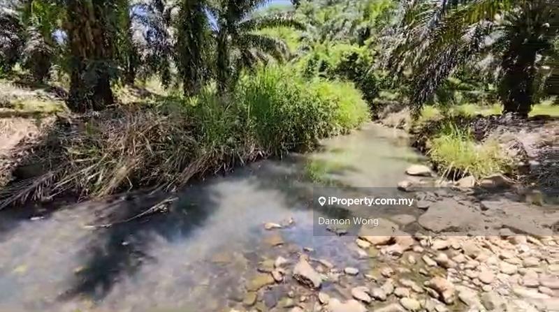 Agricultural Land for Sale in Quoin Hill, Tawau by Damon Wong - iProperty.com.my