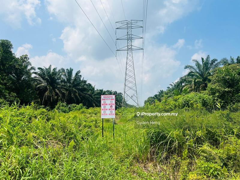 Agricultural Land for Sale in Parit Jawa Kayu Ara Pasong, Pontian by Gyden Heng - iProperty.com.my