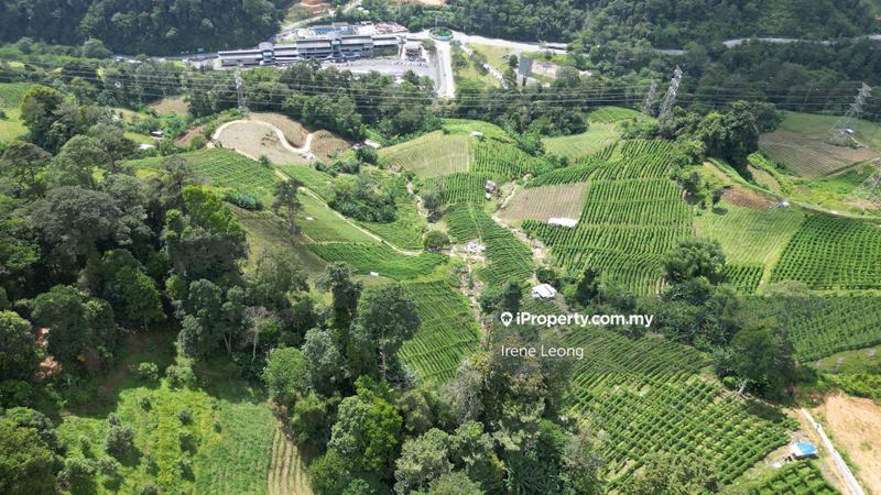 For Sale - Genting Sempah Freehold Agricultural Land For Sale | Genting Highlands, Bentong
