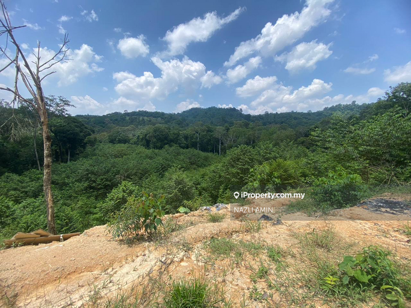 Tanah Pertanian untuk Dijual di Sungai Pening, Semenyih oleh NAZLI AMIN - iProperty.com.my