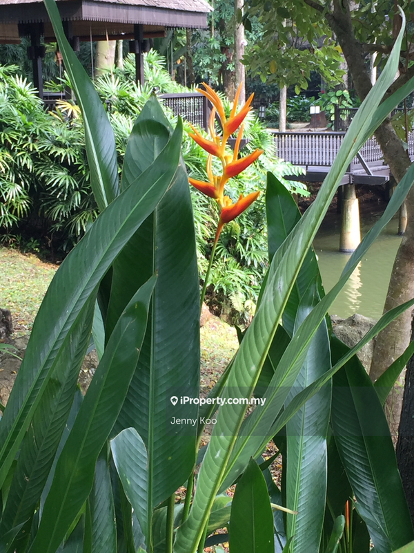 Kondominium untuk Disewa di Town Villias @ Bukit Gita Bayu oleh Jenny Koo - iProperty.com.my