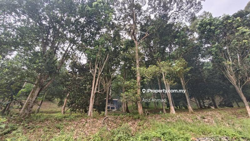 Tanah Pertanian untuk Dijual di Pekan Batu 14, Hulu Langat oleh Aziz Ahmad - iProperty.com.my