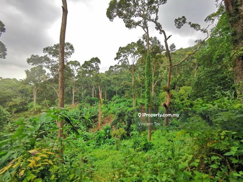 Tanah Pertanian untuk Dijual di Bukit Relau, Balik Pulau oleh Vincent Tee - iProperty.com.my