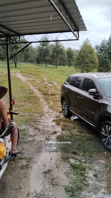 Tanah Pertanian untuk Dijual di Kampung Sungai Terap, Serdang oleh Kelly Yee - iProperty.com.my