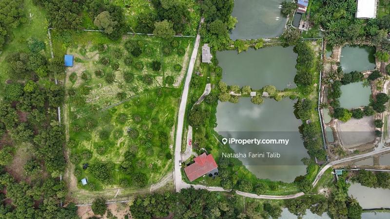 Tanah Pertanian untuk Dijual di Hulu Langat, Selangor oleh Natasha Farini Talib - iProperty.com.my