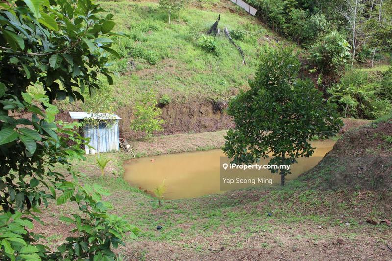 Tanah Pertanian untuk Dijual di Kenaboi, Kenaboi oleh Yap Seong Ming - iProperty.com.my