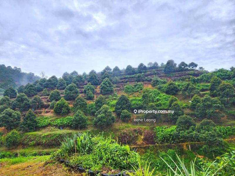 Tanah Pertanian untuk Dijual di Karak, Pahang oleh Irene Leong - iProperty.com.my