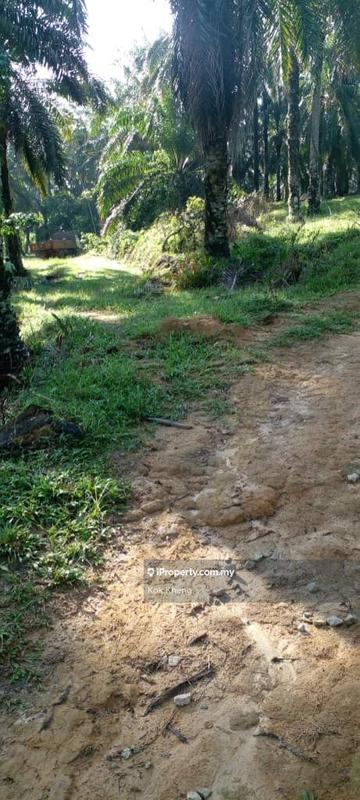 Agricultural Land for Sale in Taman Melaka Pindah, Alor Gajah by Kok Kheng - iProperty.com.my