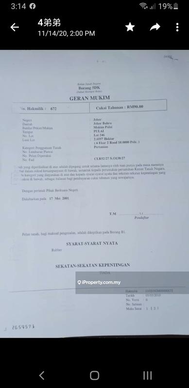 Tanah Pertanian untuk Dijual di pulai, Johor Bahru oleh Ng Yong Lin - iProperty.com.my