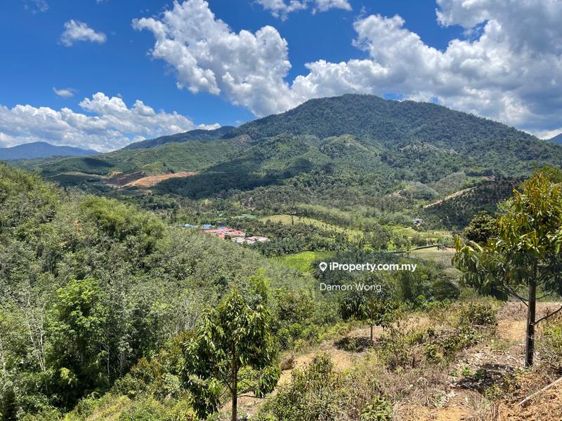 Agricultural Land for Sale in Bandar Tras, Raub by Damon Wong - iProperty.com.my
