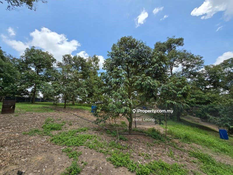 Agricultural Land for Sale in Karak, Pahang by Irene Leong - iProperty.com.my