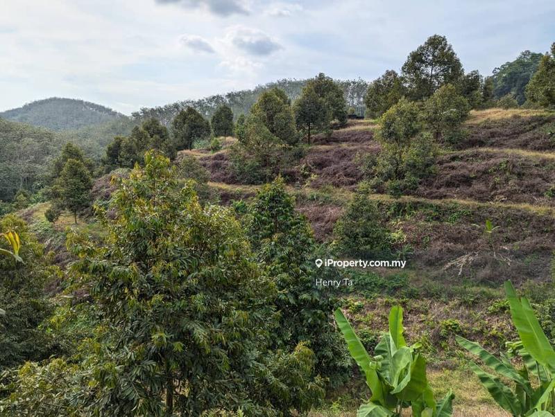 Agricultural Land for Sale in Bandar Baru Kuala Lipis, Kuala Lipis by Henry Ta - iProperty.com.my