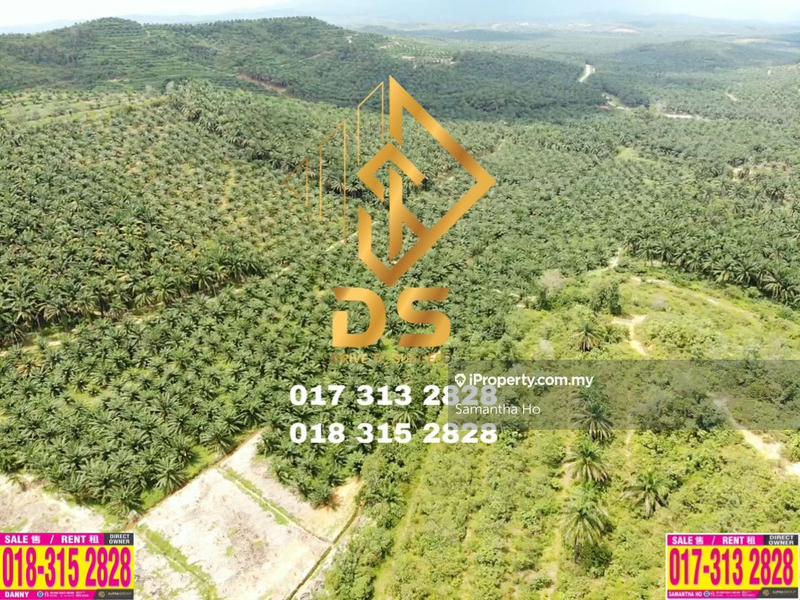 Agricultural Land for Sale in Parit Puntar, Perak by Samantha Ho - iProperty.com.my