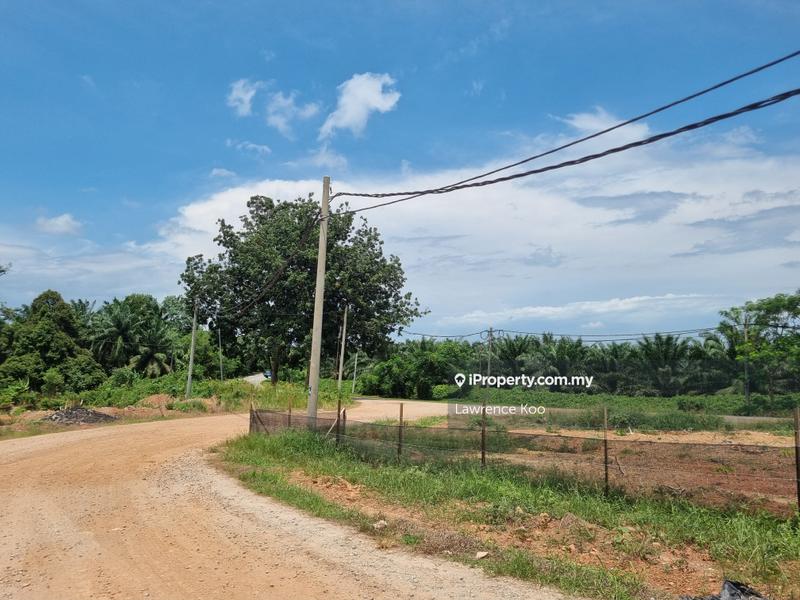 Agricultural Land for Sale in Simpang Gading, Durian Tunggal by Lawrence Koo - iProperty.com.my