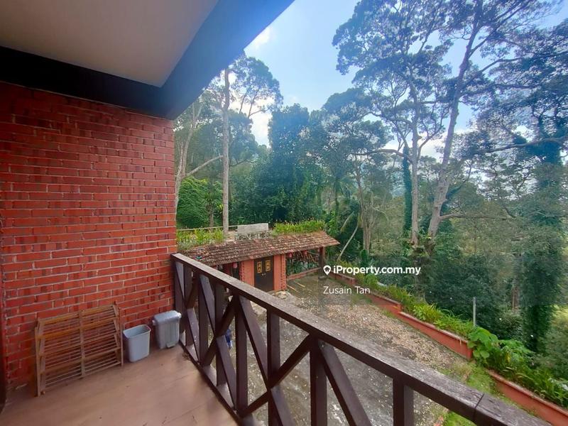 Agricultural Land for Sale in Pulau Betong, Balik Pulau by Zusain Tan - iProperty.com.my