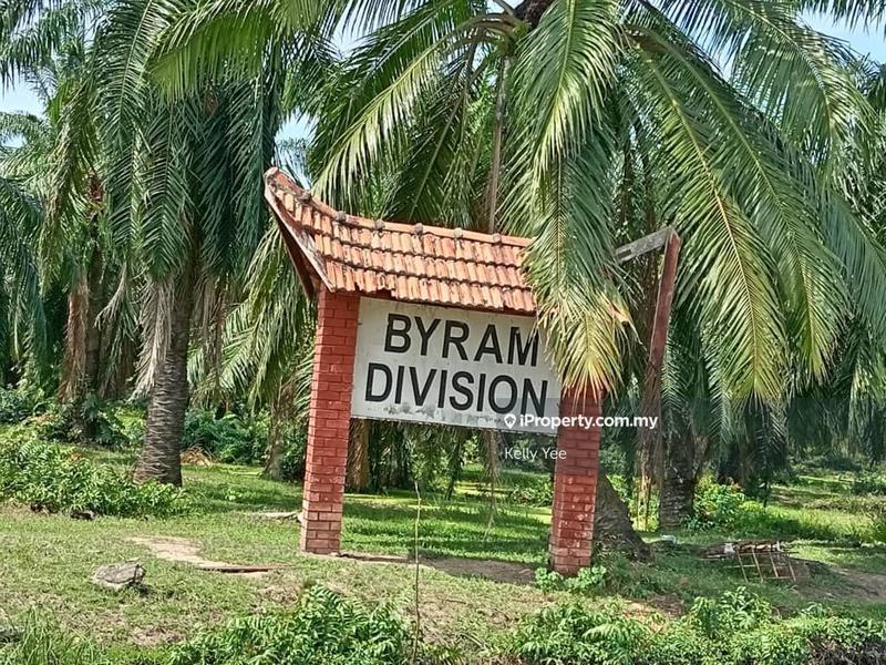 For Sale - Palm Oil Plantation @ Byram, Nibong Tebal for Sale