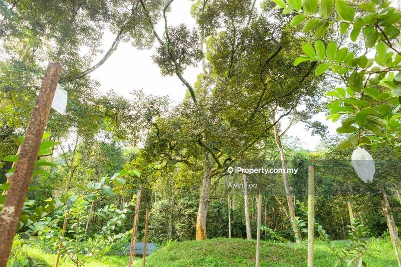 Agricultural Land for Sale in Agriculture Land @Changkat Jering Taiping Perak, Taiping by Alvin Foo - iProperty.com.my