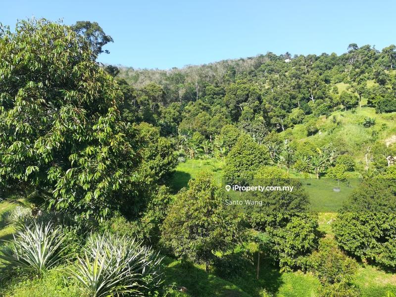 Tanah Pertanian untuk Dijual di Bandar Tras, Raub oleh Santo Wang - iProperty.com.my