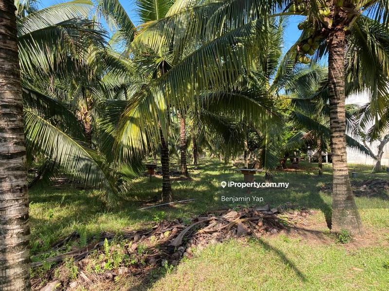 Agricultural Land for Sale in Panchor, Durian Tunggal by Benjamin Yap - iProperty.com.my