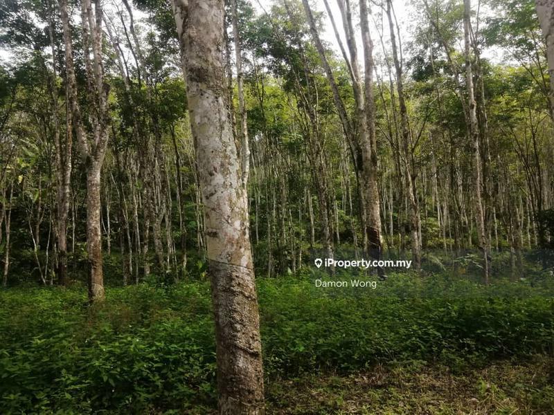 Tanah Pertanian untuk Dijual di Sungai Ruan Raub, Raub oleh Damon Wong - iProperty.com.my