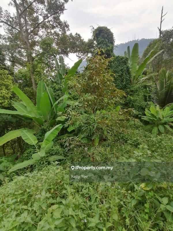 Agricultural Land for Sale in Bukit Mertajam Hill, Bukit Mertajam by Kelly Yee - iProperty.com.my