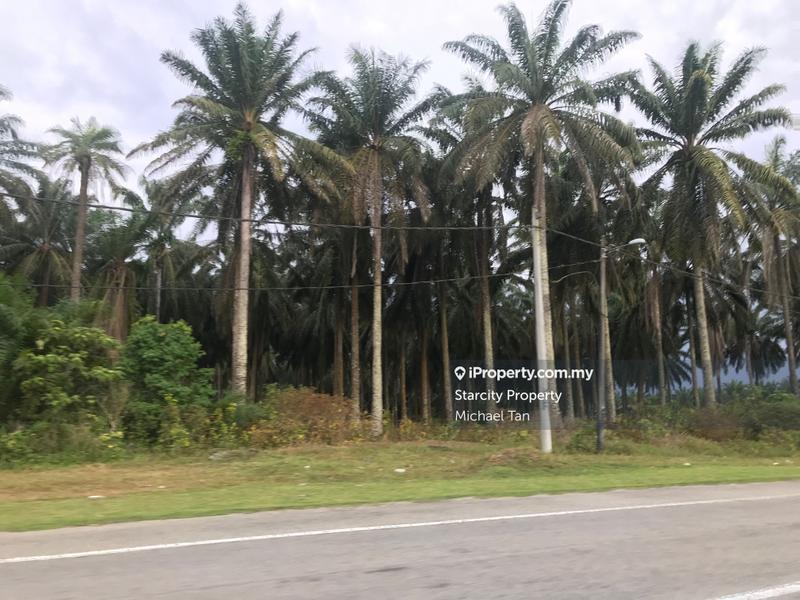 Tanah Pertanian untuk Dijual di Kampong Medan, Selama oleh Michael Tan - iProperty.com.my