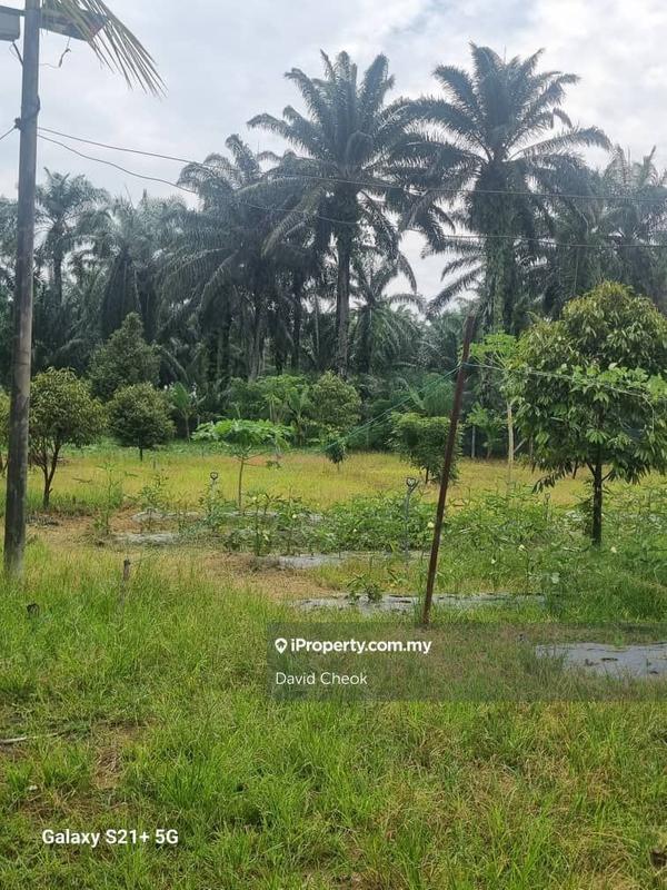 For Sale - Jimah//Port Dickson//N9//Able convert to Industrial Land//4.5 acres