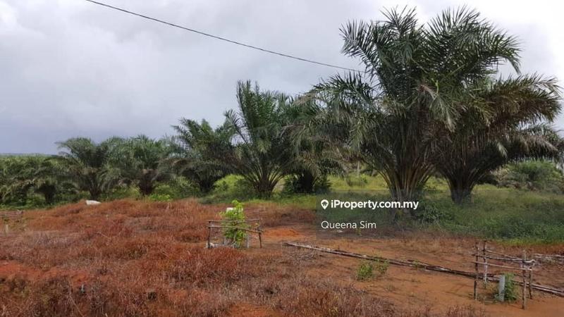 Agricultural Land for Sale in Pengerang, Johor by Queena Sim - iProperty.com.my