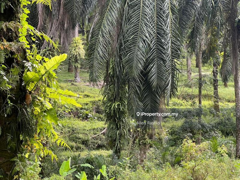 For Sale - Agricultural Land Kuang, Rawang