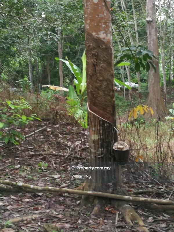 Tanah Pertanian untuk Dijual di Taman Jelebu, Kuala Klawang oleh William Ng - iProperty.com.my