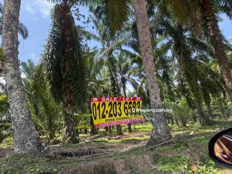 Agricultural Land for Sale in Kampung Jenderam Hilir, Dengkil by Rose Chong - iProperty.com.my