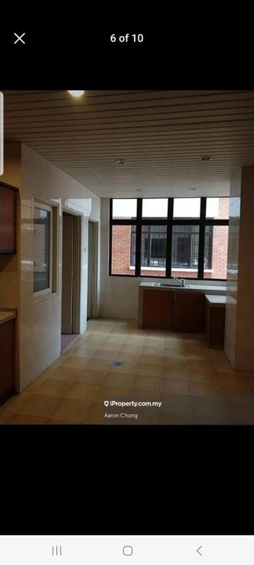 For Sale - Evergreen Park Scot Pine