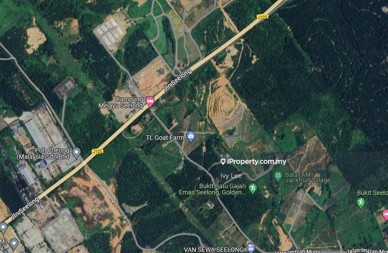 Agricultural Land for Sale in Senai, Johor by Ivy Lee - iProperty.com.my