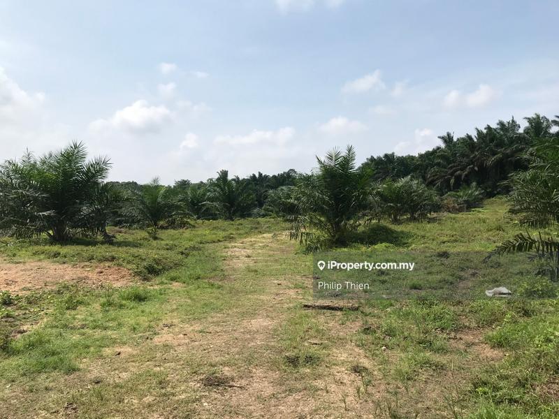 For Sale - Batang Berjuntai