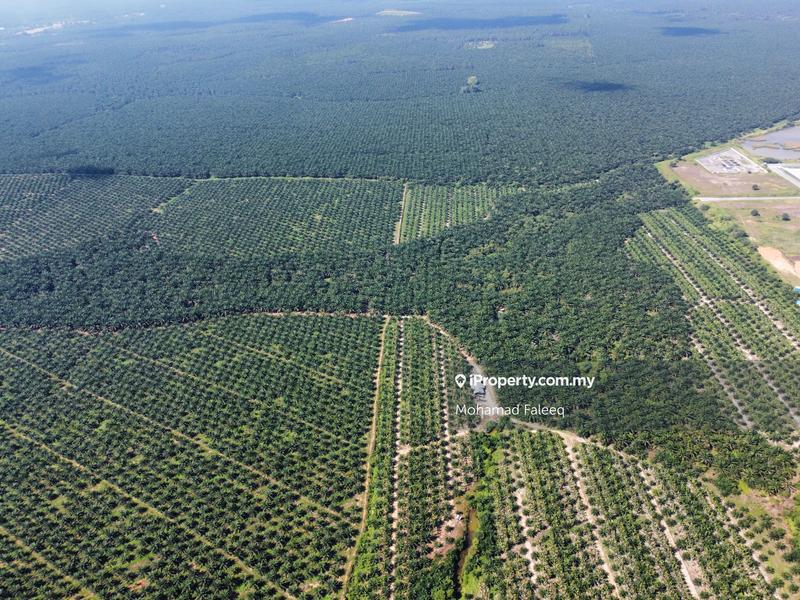 Industrial Land for Sale in Jasin, Melaka by Mohamad Faleeq - iProperty.com.my