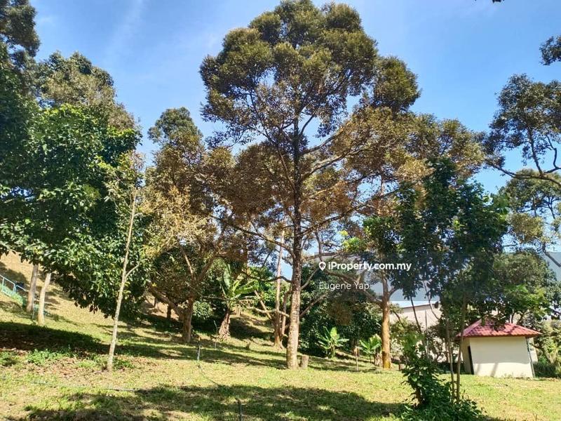 Agricultural Land for Sale in Bukit Tinggi, Bentong by Eugene Yap - iProperty.com.my