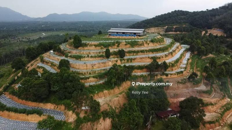 Agricultural Land for Sale in Kampung Legong Jaya, Gadong by Kelly Yee - iProperty.com.my