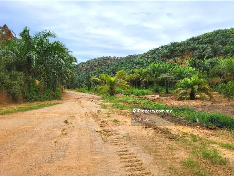 Tanah Pertanian untuk Dijual di Kelantan Gua Musang Limau Kasturi Sungai Galas, Limau Kasturi oleh CY Khoo - iProperty.com.my
