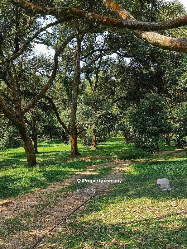 Agricultural Land for Sale in Raub Pahang, Raub by Mr Ching - iProperty.com.my