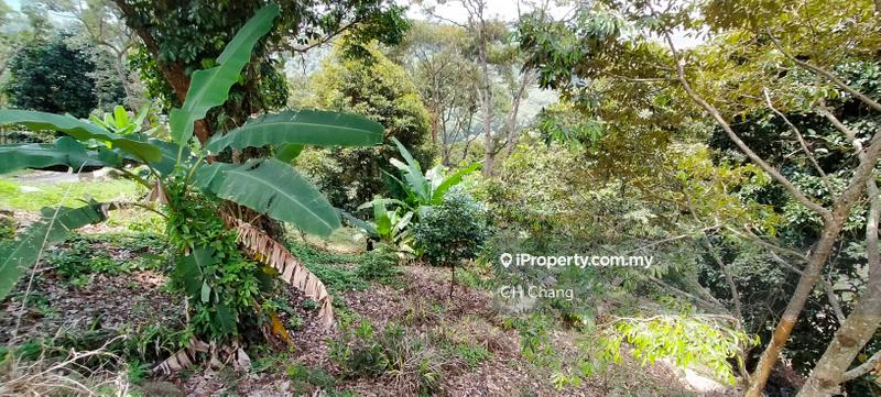 Tanah Pertanian untuk Dijual di Balik Pulau, George Town oleh CH Chang - iProperty.com.my